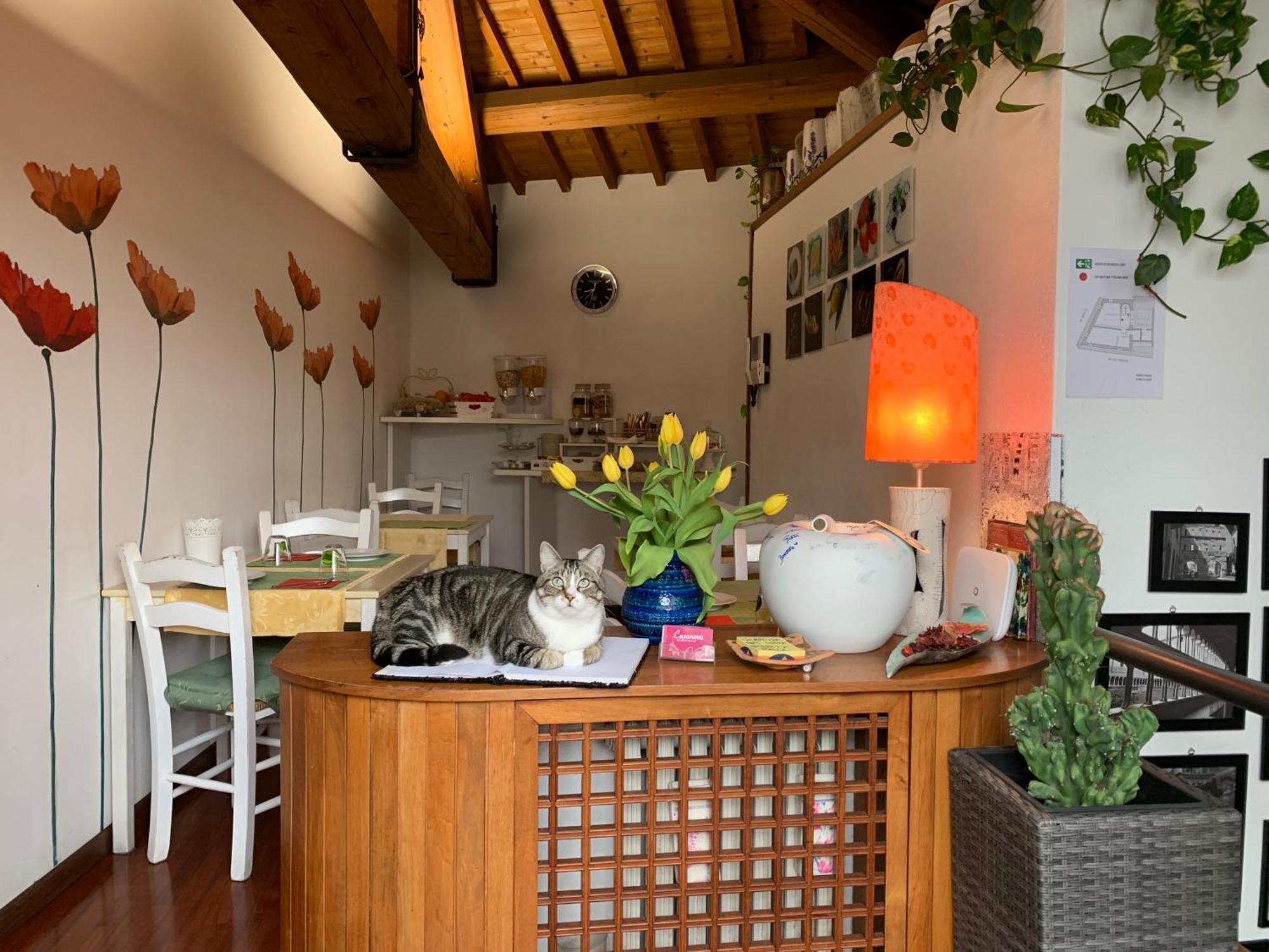 B&B Casanova, Verona